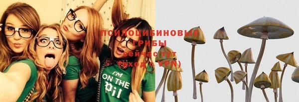 дурь Алексеевка
