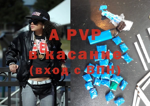 стаф Арсеньев