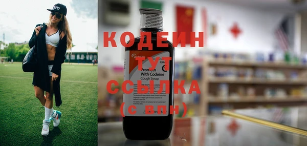 стаф Арсеньев